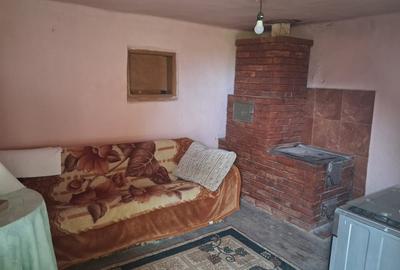 Casă individuală cu 4 camere cu Teren 3116 Mp în Boroșteni - 6