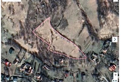 Teren extravilan de 11000 mp, în Bistra Mureșului - 8