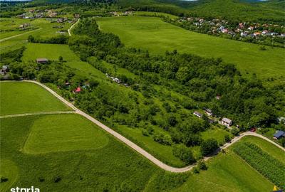 Teren de 4500 mp, în Ilieni - 2