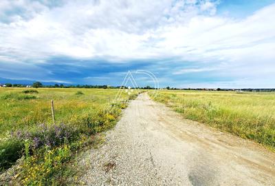 Teren agricol extravilan de 10000 mp, în Bucureasa - 5