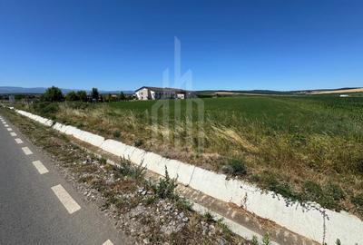 Teren agricol intravilan de 10000 mp, în Șura Mică - 6