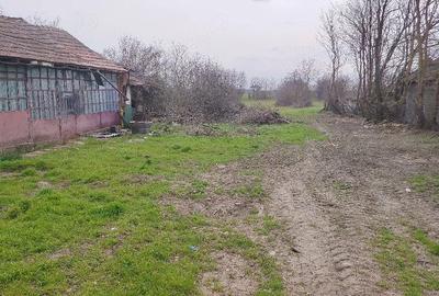 Teren de 3000 mp, în Fierbinți-Târg