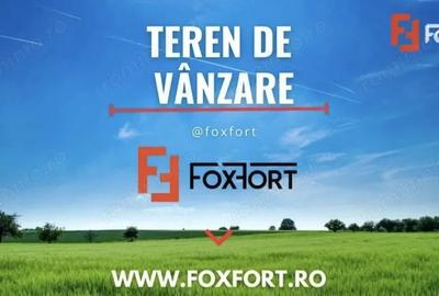 Teren de 500000 mp, în Zăbrani - 1