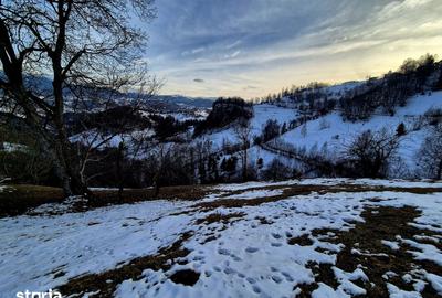 Teren de 4584 mp, în Moieciu - 2