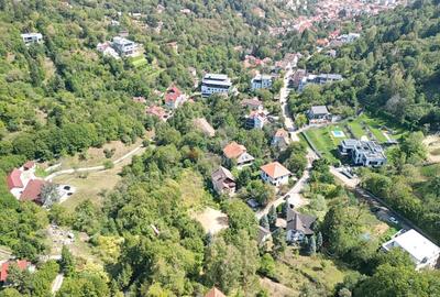 Teren Construcții intravilan de 5500 mp, în Brașovul Vechi - 15
