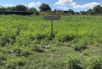 Teren de 1067 mp, în Smârdan