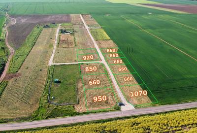 Teren Construcții intravilan de 660 mp, în Frumușani - 7
