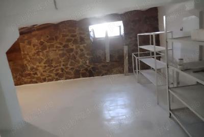 Spațiu comercial, de 300 mp, în Aradul Nou - 6