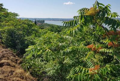 Teren de 1800 mp, în Schela - 1