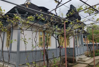 Casă cu 2 camere în Borșeni