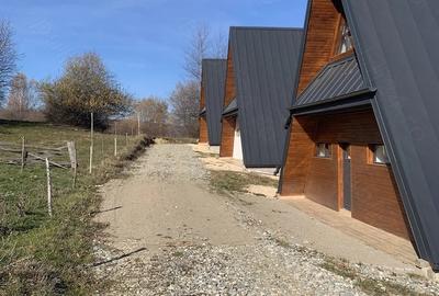 Teren de 1000 mp, în Predeluț - 5