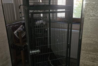 Apartament în Central