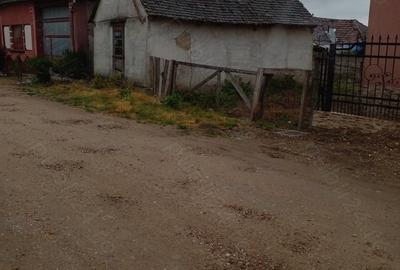 Casă cu 2 camere cu Teren 1600 Mp în Tăut