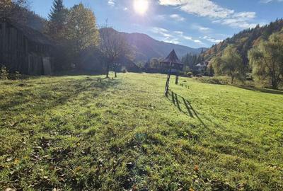 Teren de 4096 mp, în Tarcău - 5