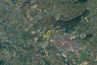 Teren Construcții extravilan de 49933 mp, în Beiuș - 3