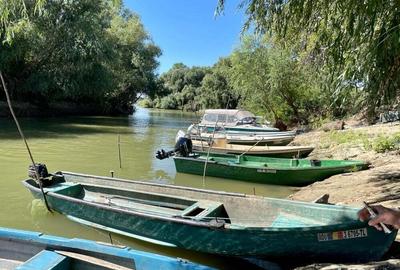 Teren de 8800 mp, în Pătlăgeanca - 8