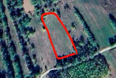 Teren de 5000 mp, în Polovragi