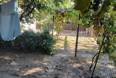Casă cu Teren 1500 Mp în Sibișel (Beriu)