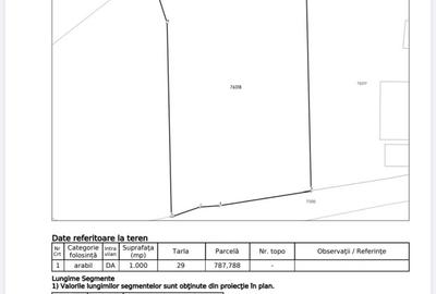 Teren Construcții intravilan de 1000 mp, în Bălteni - 3