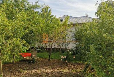 Casă cu 7 camere cu Canalizare în Merei - 4