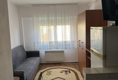 Garsonieră nedecomandată în Carpați 2