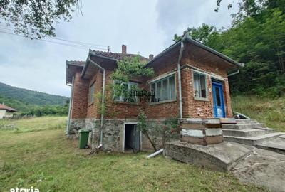 Casă cu 4 camere cu Teren 9563 Mp în Dumbrava