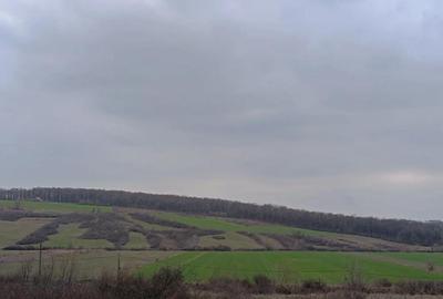 Teren de 5400 mp, în Central