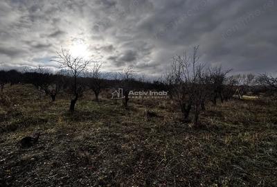 Teren de 3088 mp, în Dealuri Oradea - 2
