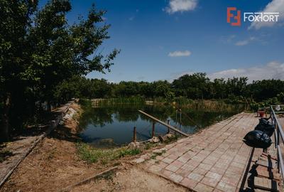 Casă individuală cu 8 camere cu Teren 4424 Mp în Jebel - 30