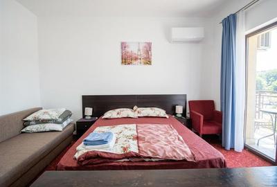 Garsonieră decomandată în Băile Felix - 1