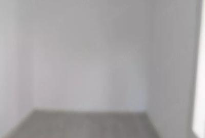Apartament cu 2 camere în Șagului