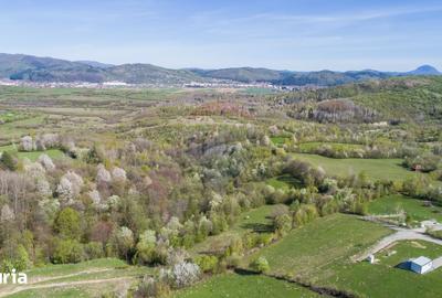 Teren de 6800 mp, în Tohănița