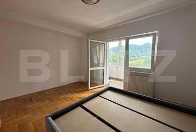 Apartament cu 4 camere decomandat, mobilat în Noua - 4