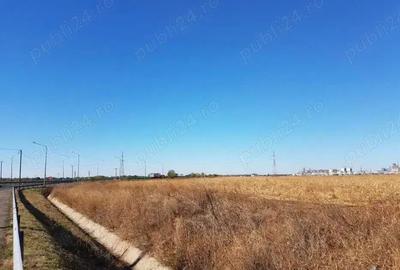 Teren de 26800 mp, în Lehliu - 3