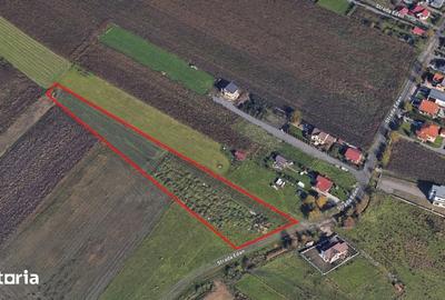 Teren de 7000 mp, în Unirii