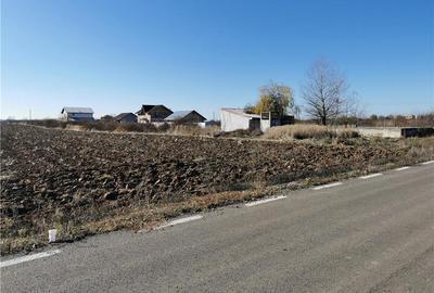 Teren de 3400 mp, în Joița - 1