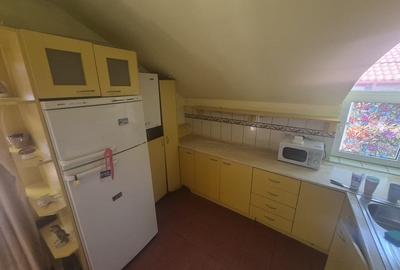 Apartament cu 3 camere decomandat în Podul de Fier - 7