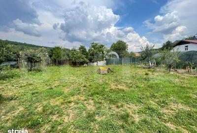 Casă cu 3 camere cu Teren 880 Mp în Bucovăț - 1