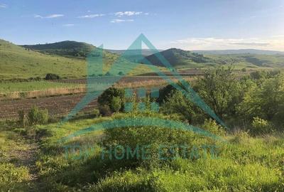 Teren Construcții extravilan de 800 mp, în Pata - 2