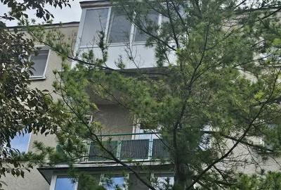 Apartament cu 2 camere decomandat în Gojdu - 8