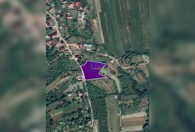 Teren de 5323 mp, în Josenii Bârgăului