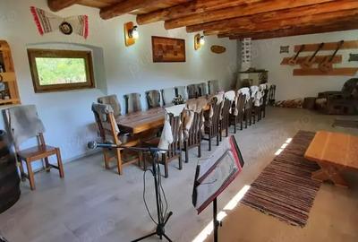 Spațiu comercial, de 723 mp, în Valea Cricovului - 3