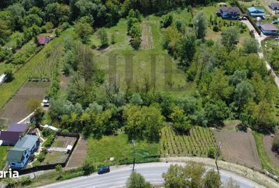 Teren de 3128 mp, în Mărgineni - 2