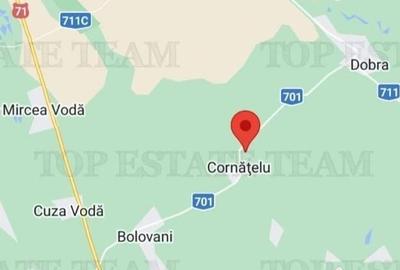 Spațiu comercial, de 5,500 mp, în Dobra