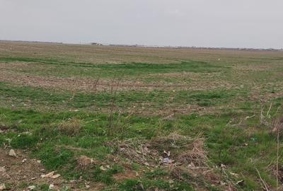 Teren Construcții intravilan de 5000 mp, în Tânganu - 6