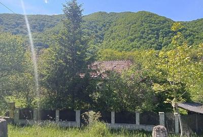 Teren de 1600 mp, în Central - 3