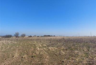 Teren agricol extravilan de 50000 mp, în Turnu - 5