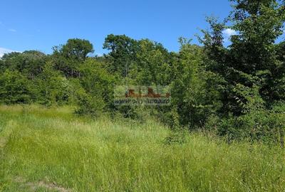 Teren Construcții intravilan de 1123.4599609375 mp, în Bălteni - 9