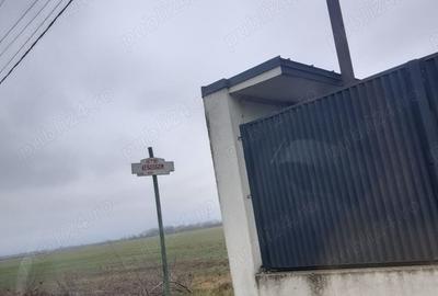 Teren de 1250 mp, în Clinceni