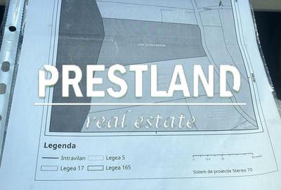 Spațiu comercial, în Șura Mică